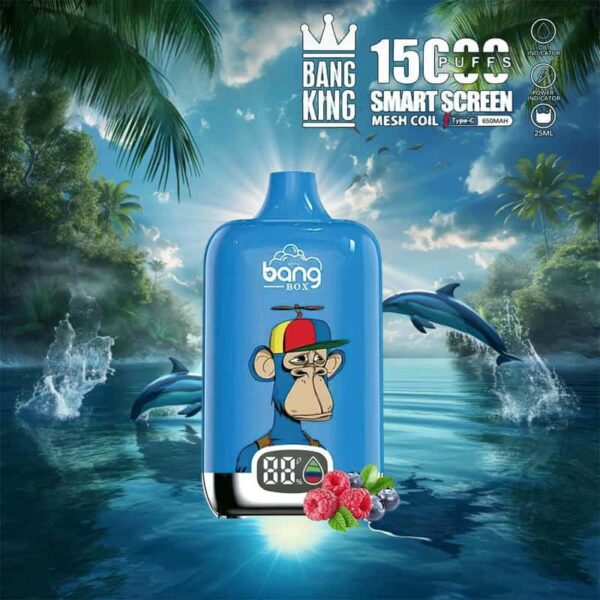 Bang King 15000 Puffs SmartScreen Disposable Vape – Factory Direct, High Capacity E-Cig