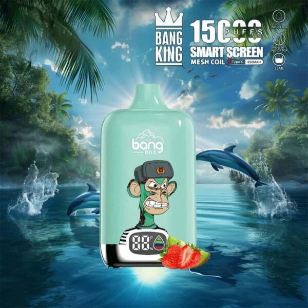Bang King 15000 Puffs SmartScreen Disposable Vape – Factory Direct, High Capacity E-Cig
