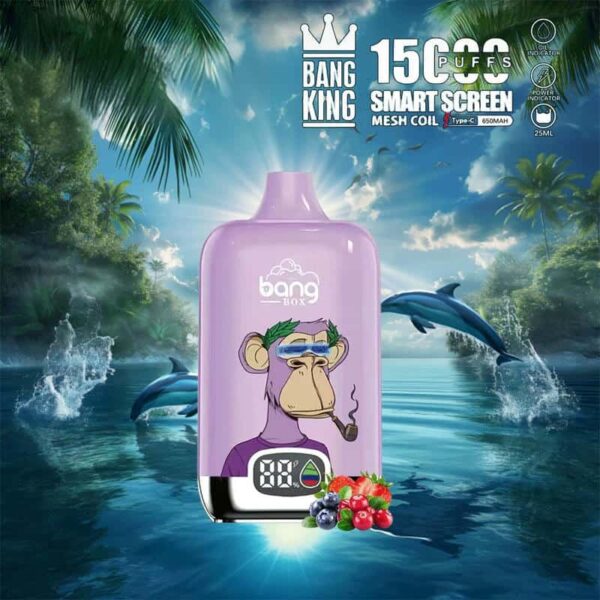 Bang King 15000 Puffs SmartScreen Disposable Vape – Factory Direct, High Capacity E-Cig