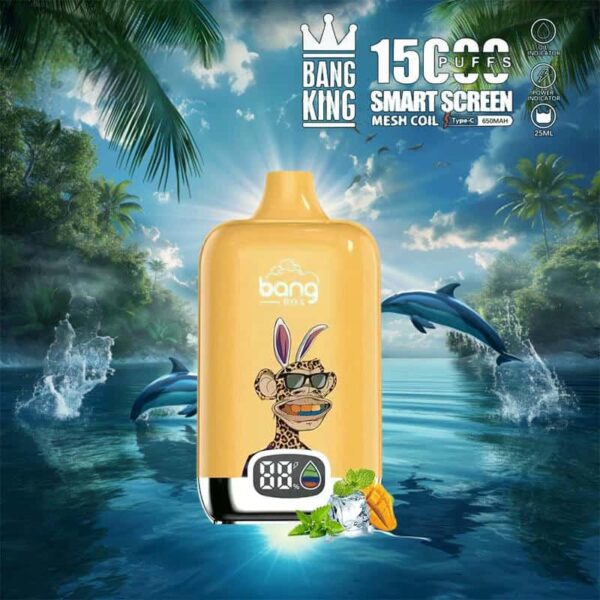 Bang King 15000 Puffs SmartScreen Disposable Vape – Factory Direct, High Capacity E-Cig