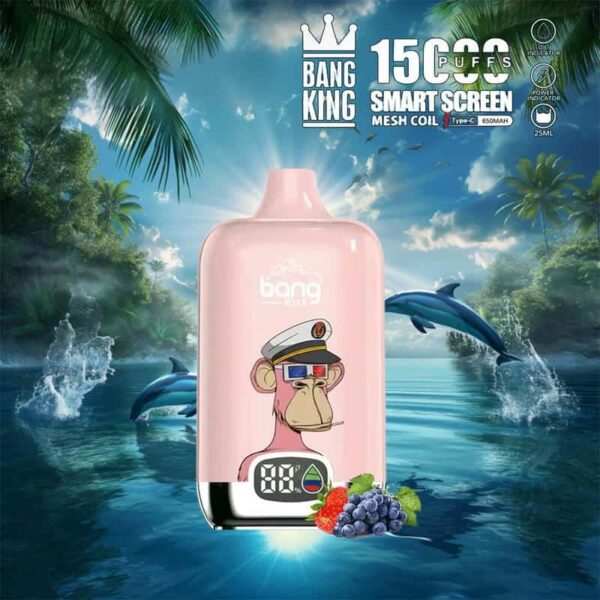 Bang King 15000 Puffs SmartScreen Disposable Vape – Factory Direct, High Capacity E-Cig