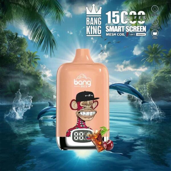 Bang King 15000 Puffs SmartScreen Disposable Vape – Factory Direct, High Capacity E-Cig
