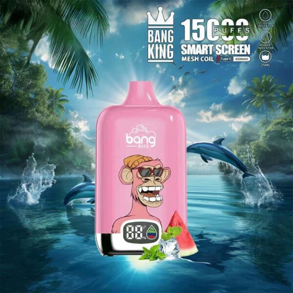 Bang King 15000 Puffs SmartScreen Disposable Vape – Factory Direct, High Capacity E-Cig