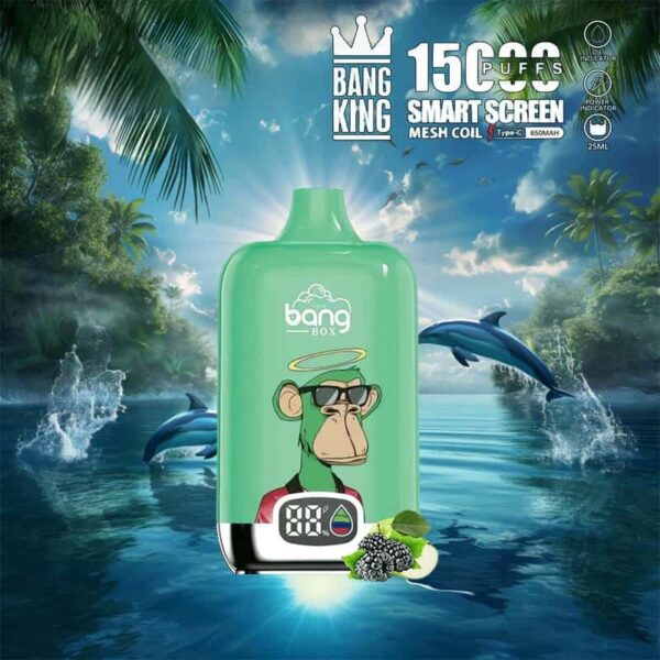 Bang King 15000 Puffs SmartScreen Disposable Vape – Factory Direct, High Capacity E-Cig