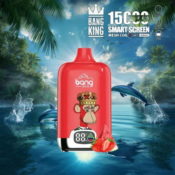 Bang King 15000 Puffs SmartScreen Disposable Vape – Factory Direct, High Capacity E-Cig