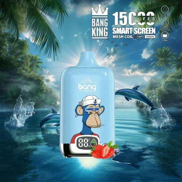 Bang King 15000 Puffs SmartScreen Disposable Vape – Factory Direct, High Capacity E-Cig