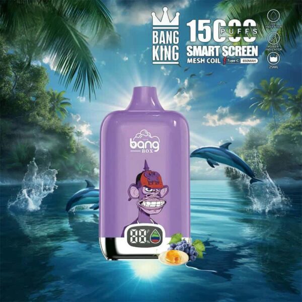 Bang King 15000 Puffs SmartScreen Disposable Vape – Factory Direct, High Capacity E-Cig