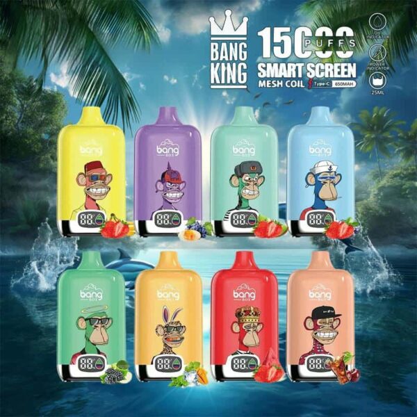 Bang King 15000 Puffs SmartScreen Disposable Vape – Factory Direct, High Capacity E-Cig