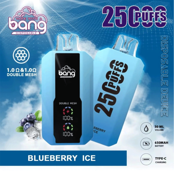 Bang 25000 Puffs LED Display Disposable Vape Pod – 0–5% Nicotine Electronic Cigarette