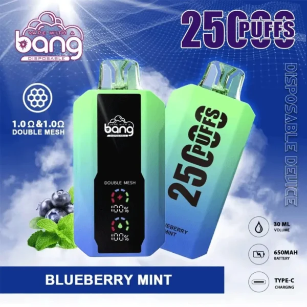 Bang 25000 Puffs LED Display Disposable Vape Pod – 0–5% Nicotine Electronic Cigarette