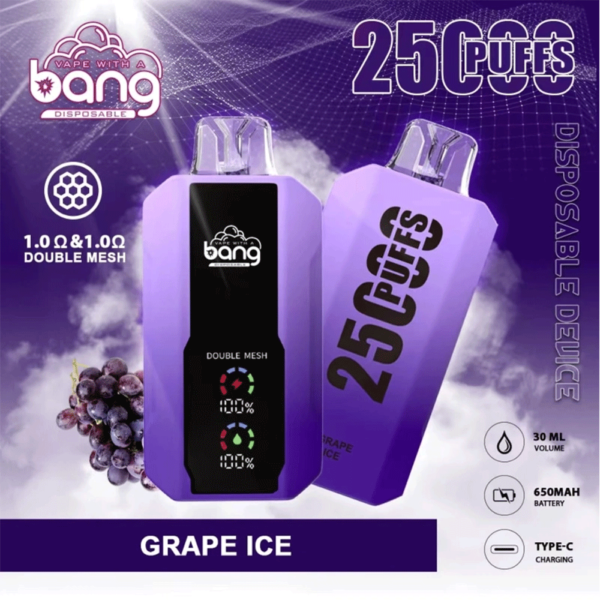 Bang 25000 Puffs LED Display Disposable Vape Pod – 0–5% Nicotine Electronic Cigarette