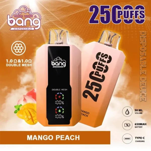 Bang 25000 Puffs LED Display Disposable Vape Pod – 0–5% Nicotine Electronic Cigarette