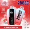 Bang 25000 Puffs LED Display Disposable Vape Pod – 0–5% Nicotine Electronic Cigarette