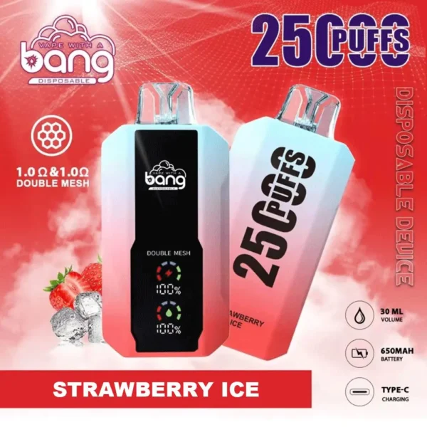 Bang 25000 Puffs LED Display Disposable Vape Pod – 0–5% Nicotine Electronic Cigarette