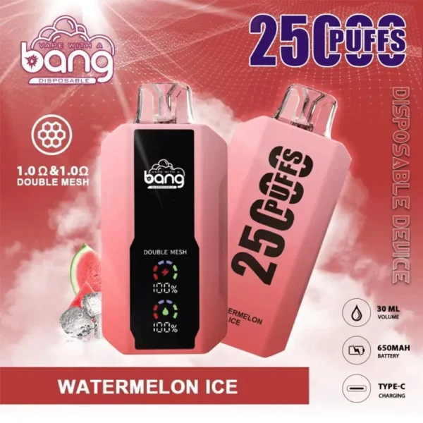 Bang 25000 Puffs LED Display Disposable Vape Pod – 0–5% Nicotine Electronic Cigarette