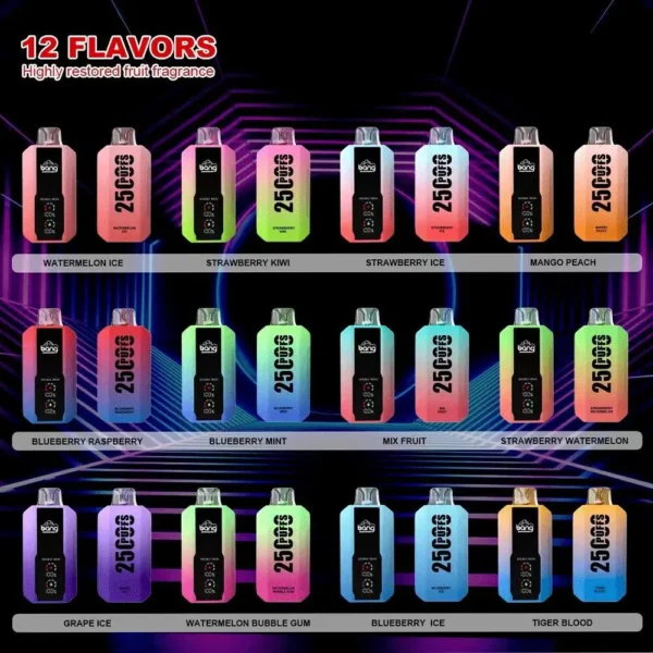 Bang 25000 Puffs LED Display Disposable Vape Pod – 0–5% Nicotine Electronic Cigarette
