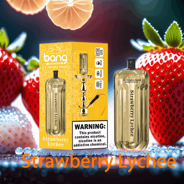 Bang Blaze 42K Puffs Disposable Vape: Unmatched Performance with 42,000 Puffs for an Extended Vaping Experience