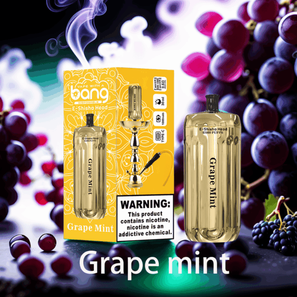 Bang Blaze 42K Puffs Disposable Vape: Unmatched Performance with 42,000 Puffs for an Extended Vaping Experience