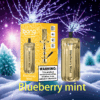 Bang Blaze 42K Puffs Disposable Vape: Unmatched Performance with 42,000 Puffs for an Extended Vaping Experience