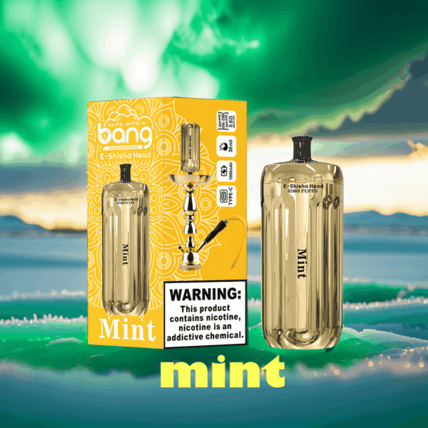 Bang Blaze 42K Puffs Disposable Vape: Unmatched Performance with 42,000 Puffs for an Extended Vaping Experience