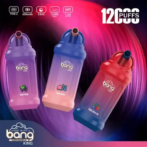 Bang King 12K Disposable Vape Pen – 12000 Puffs, Original Edition E-Cigarette