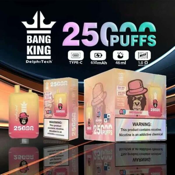 Bang King 25000 Puffs Dual Cartridge Vape – 0/2/3/5% Nicotine Disposable Device
