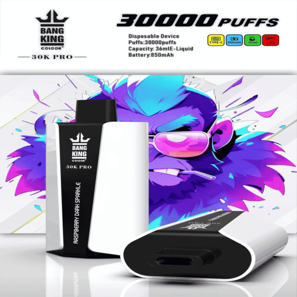 Bang King 30000 Pro Disposable Vape – 30,000 Puffs | Next-Gen Vaping Power