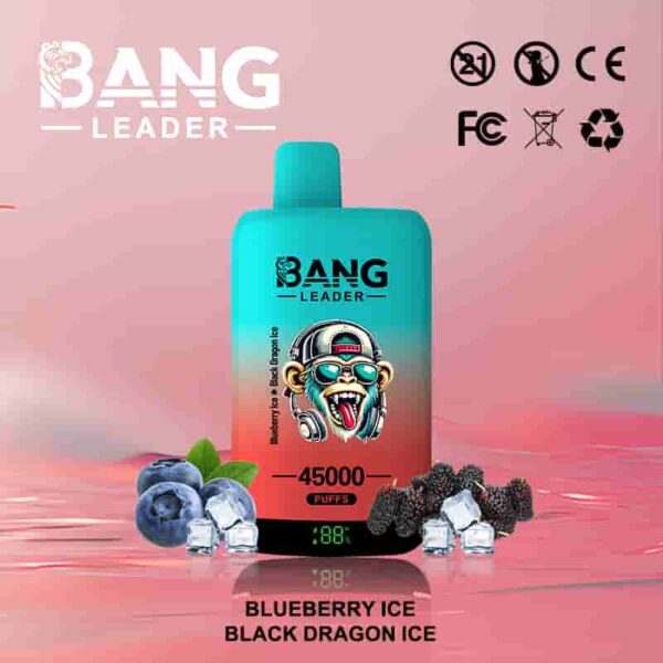 Bang Leader 45K Puffs – Dual Flavor 2-in-1 Disposable Vape with LED Screen | Up to 45,000 Hits