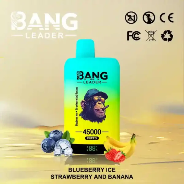 Bang Leader 45K Puffs – Dual Flavor 2-in-1 Disposable Vape with LED Screen | Up to 45,000 Hits