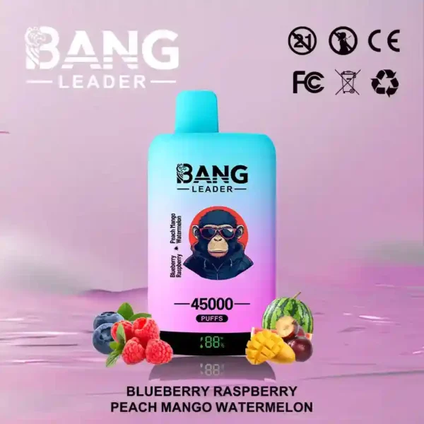 Bang Leader 45K Puffs – Dual Flavor 2-in-1 Disposable Vape with LED Screen | Up to 45,000 Hits
