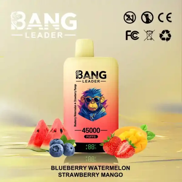Bang Leader 45K Puffs – Dual Flavor 2-in-1 Disposable Vape with LED Screen | Up to 45,000 Hits