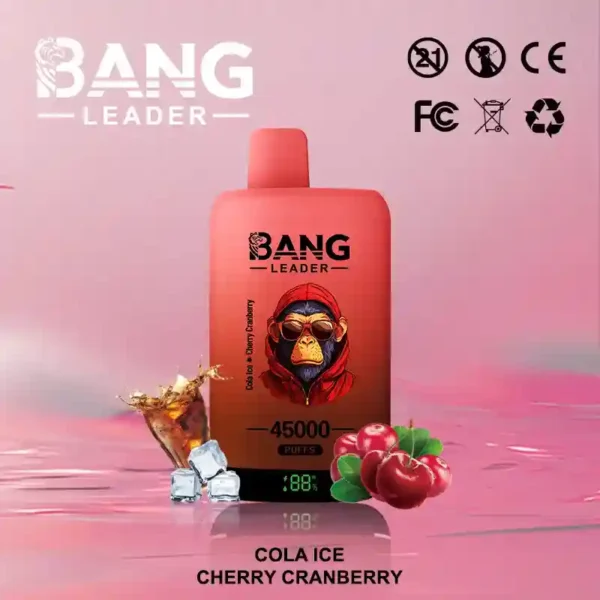 Bang Leader 45K Puffs – Dual Flavor 2-in-1 Disposable Vape with LED Screen | Up to 45,000 Hits