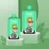 ELF BOX Digital Disposable Vape – 12000 Puffs | LED Display | 0%–5% Nicotine Options