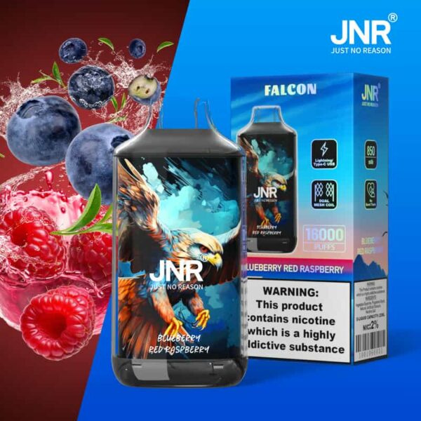 JNR Falon 16K Puffs – Original Edition Rechargeable Vape with Smooth Draw & Bold Flavor