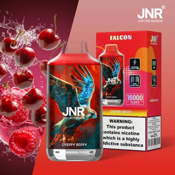 JNR Falon 16K Puffs – Original Edition Rechargeable Vape with Smooth Draw & Bold Flavor