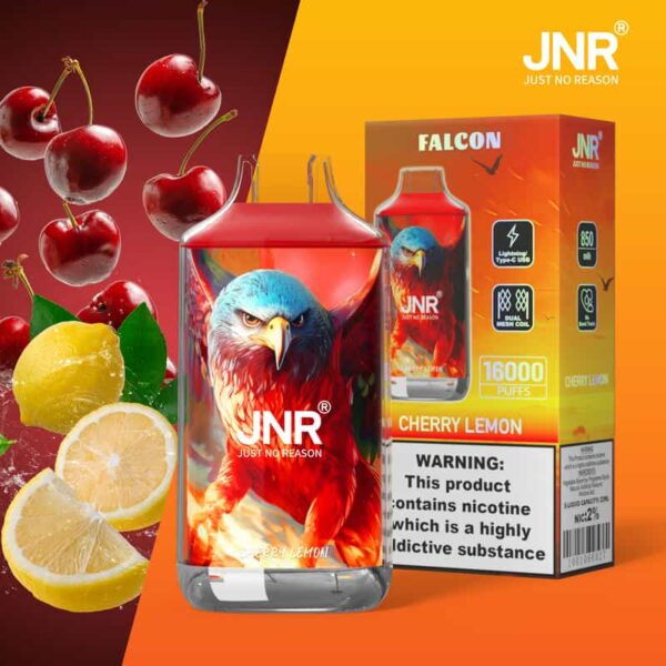 JNR Falon 16K Puffs – Original Edition Rechargeable Vape with Smooth Draw & Bold Flavor