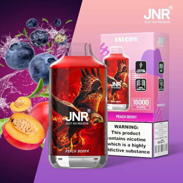 JNR Falon 16K Puffs – Original Edition Rechargeable Vape with Smooth Draw & Bold Flavor