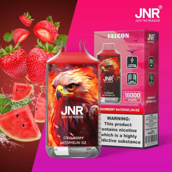 JNR Falon 16K Puffs – Original Edition Rechargeable Vape with Smooth Draw & Bold Flavor