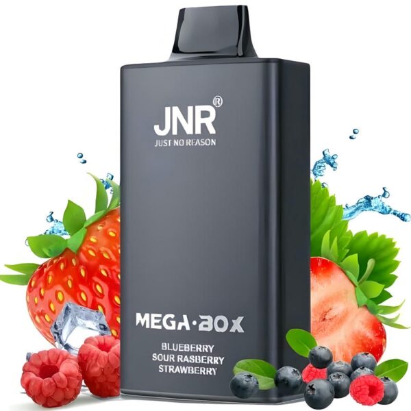 JNR Mega Box 25000 Puffs – Original Rechargeable Disposable Vape with Massive Capacity & Smooth Flavor