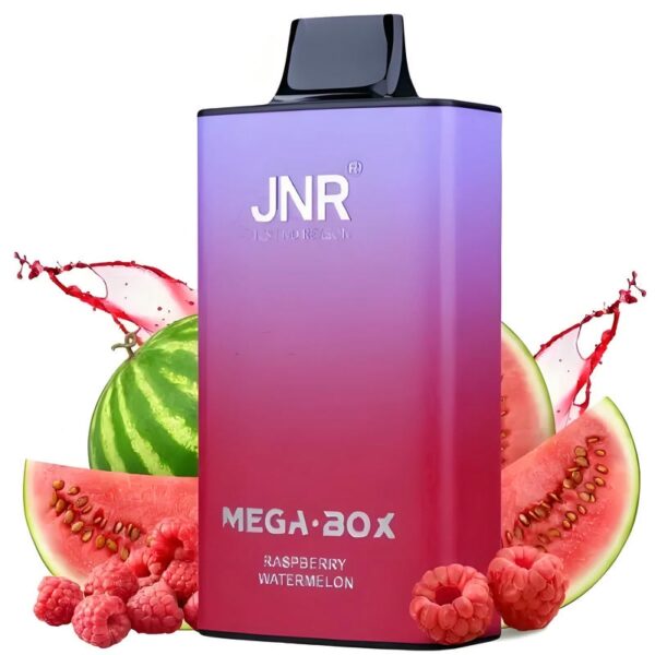 JNR Mega Box 25000 Puffs – Original Rechargeable Disposable Vape with Massive Capacity & Smooth Flavor