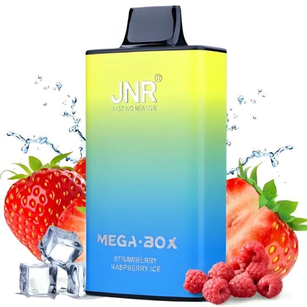 JNR Mega Box 25000 Puffs – Original Rechargeable Disposable Vape with Massive Capacity & Smooth Flavor