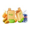 VapSolo Twins 20000 Puffs Disposable Vape – Dual Flavor, 25mL E-liquid, Rechargeable Battery, Mesh Coil, Adjustable Airflow