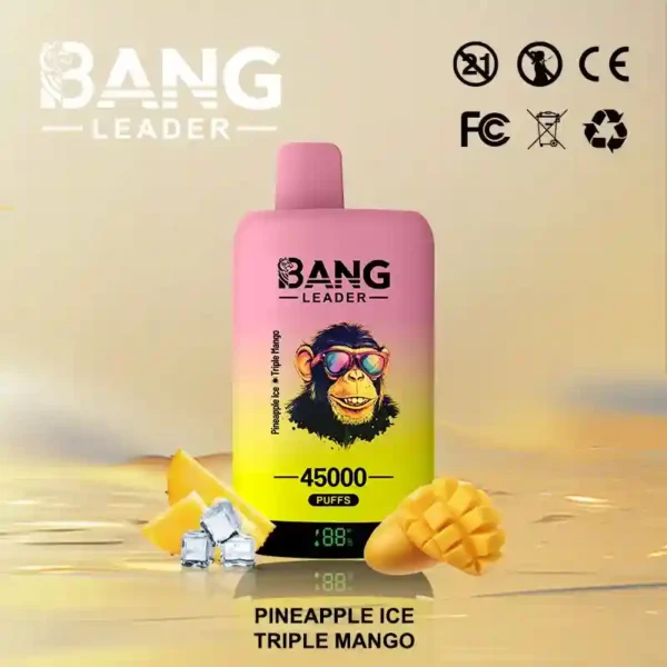Bang Leader 45K Puffs – Dual Flavor 2-in-1 Disposable Vape with LED Screen | Up to 45,000 Hits