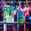 Bang King 30000 Puffs Disposable Vape – Dual Flavor, LCD Display, 0–5% Nicotine