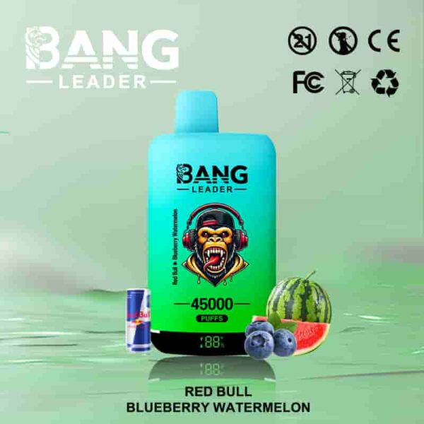 Bang Leader 45K Puffs – Dual Flavor 2-in-1 Disposable Vape with LED Screen | Up to 45,000 Hits