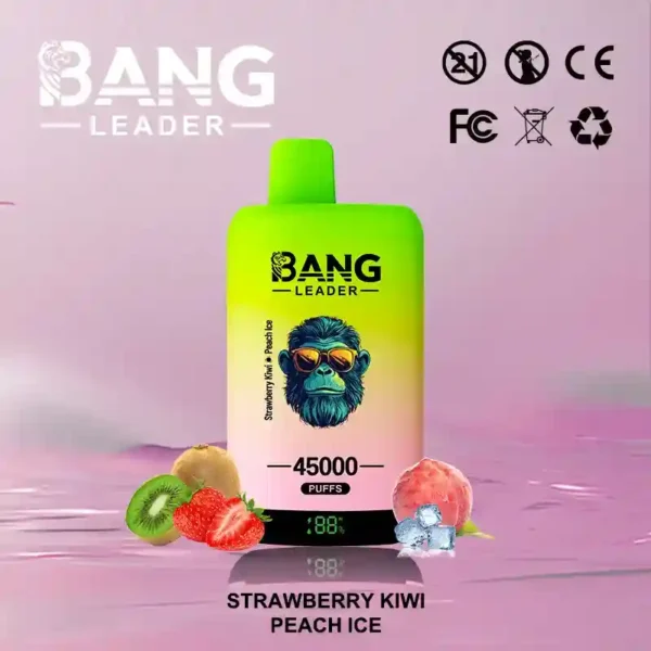 Bang Leader 45K Puffs – Dual Flavor 2-in-1 Disposable Vape with LED Screen | Up to 45,000 Hits