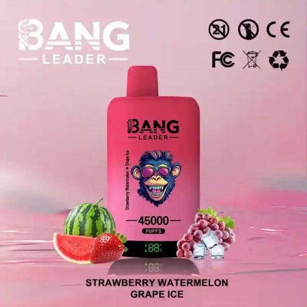 Bang Leader 45K Puffs – Dual Flavor 2-in-1 Disposable Vape with LED Screen | Up to 45,000 Hits