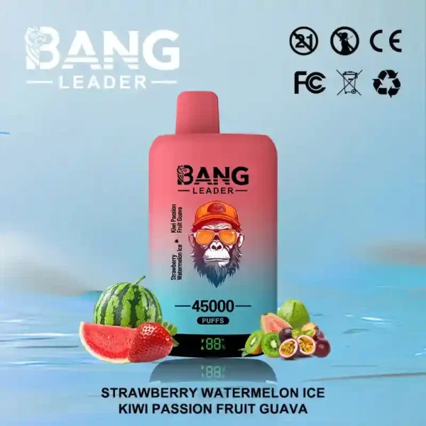 Bang Leader 45K Puffs – Dual Flavor 2-in-1 Disposable Vape with LED Screen | Up to 45,000 Hits