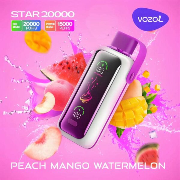 Vozol Star 20K – 20,000 Puffs Disposable Vape | Dual Mesh Coil | Eco & Power Modes | Mirror Display | Type-C Rechargeable