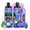 VapSolo Viking 12000 – 12,000 Puff Disposable Vape with LCD, 22mL E-liquid & Mesh Coil